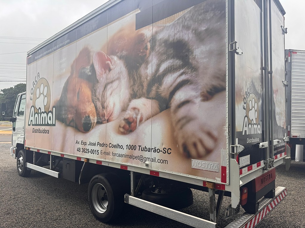 Caminhão FORD CARGO 816 Baú Furgão ANO 2013 de Comovel Veículos em São Paulo