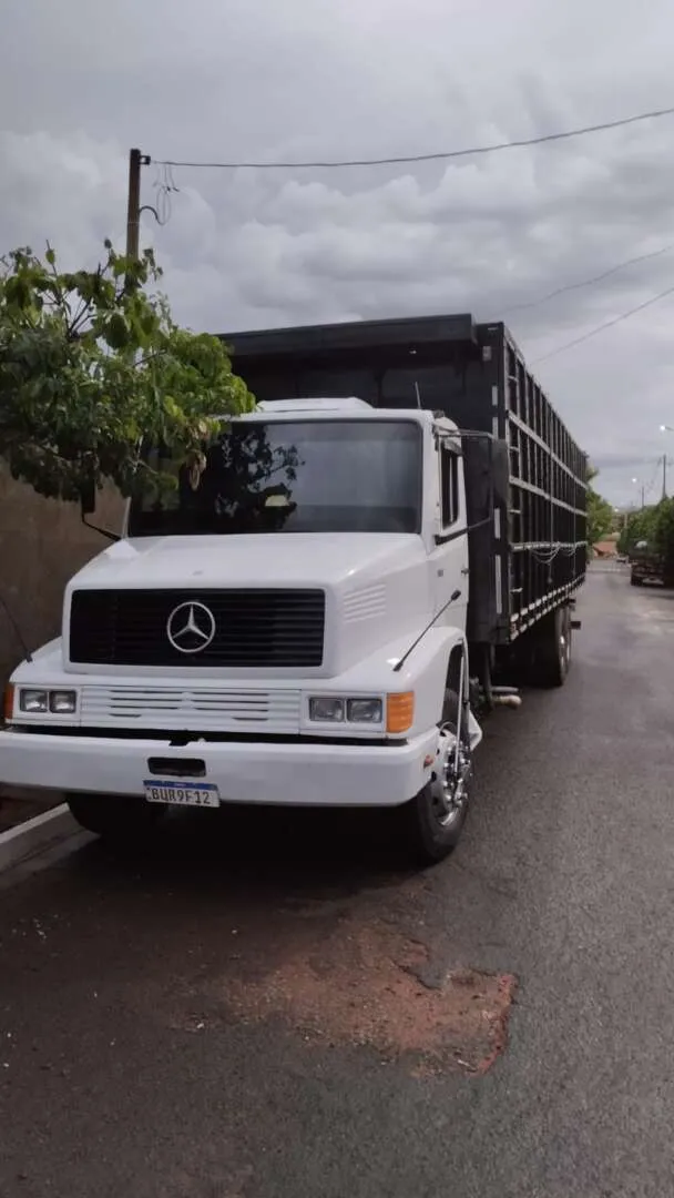 Caminhão MERCEDES BENZ MB 1618 Boiadeiro ANO 1991 de PAULO HENRIQUE BATELO VICENTIN em São Paulo