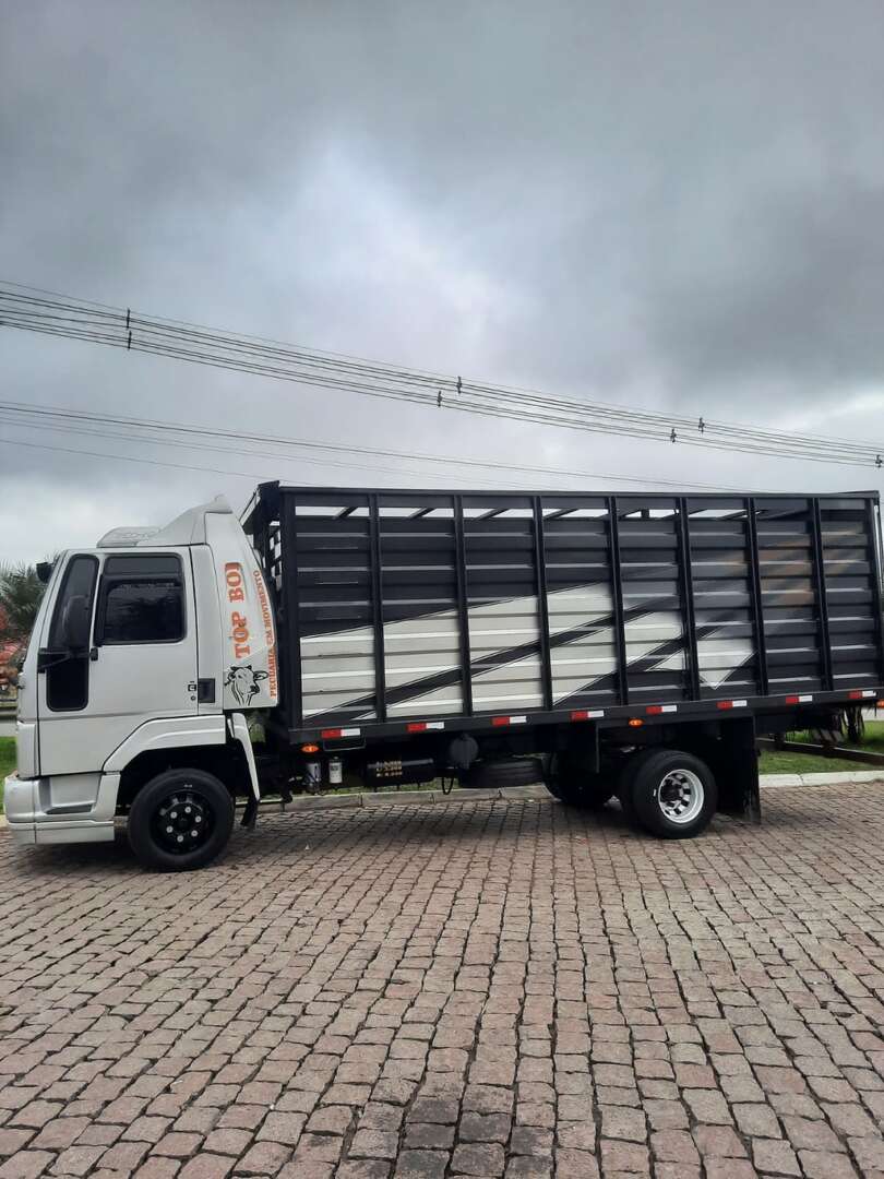 Caminhão FORD CARGO 815 Boiadeiro ANO 2012 de LG Caminhões no Paraná