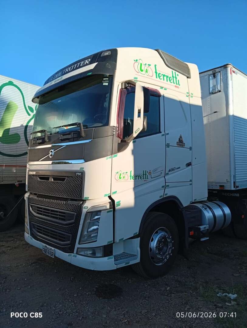 Caminhão VOLVO FH 460 Outras ANO 2016 de L.A. Ferretti LTDA em São Paulo