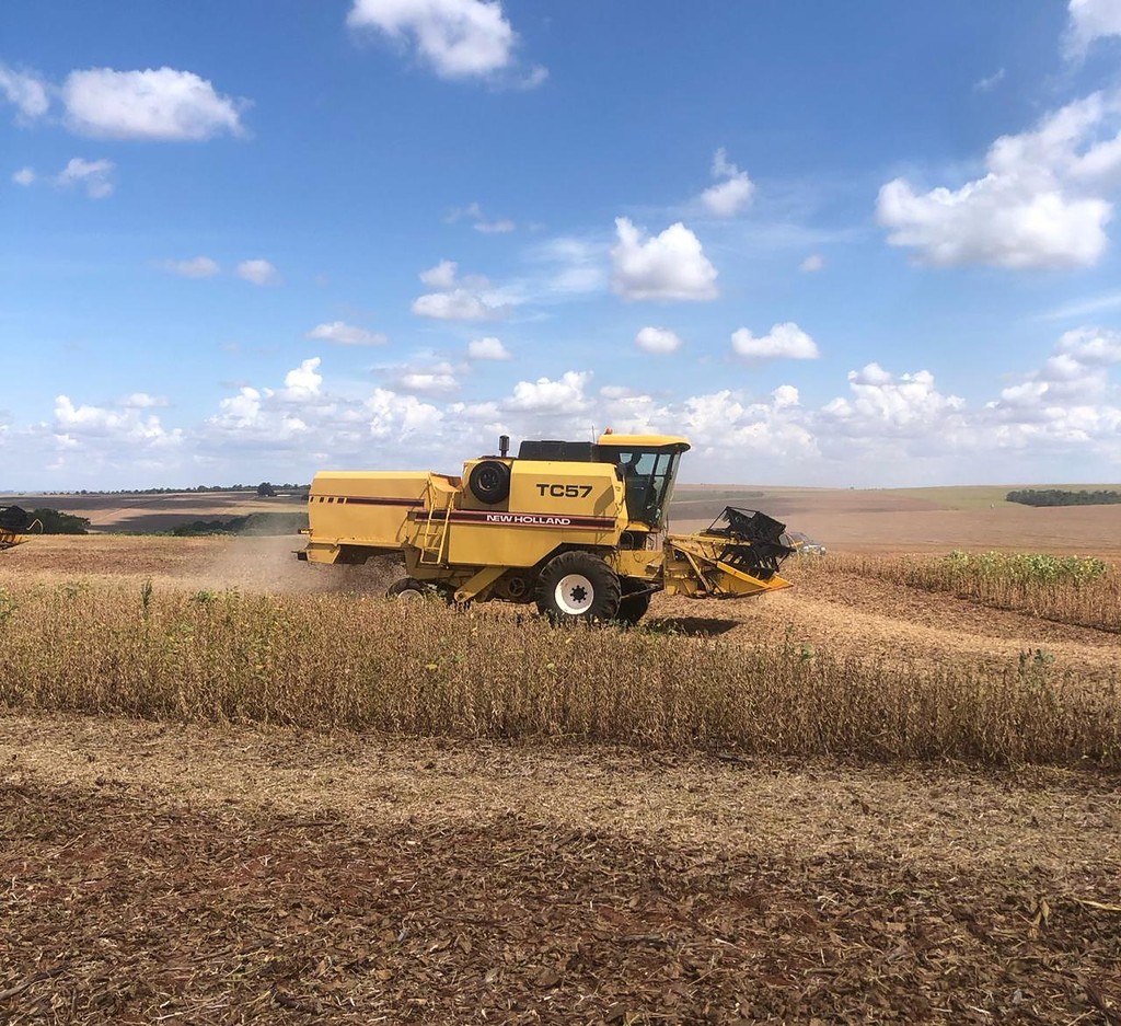 COLHEITADEIRA NEW HOLLAND TC 57 ANO 1993 de Auto Máquinas Palotina no Paraná