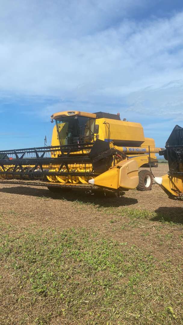 COLHEITADEIRA NEW HOLLAND TC 5090 ANO 2020 de Auto Máquinas Palotina no Paraná
